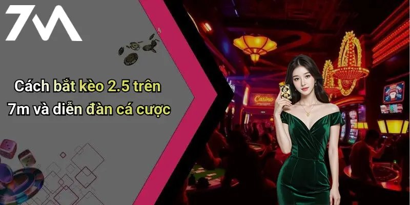 Cách bắt kèo 2.5 trên 7m và diễn đàn cá cược