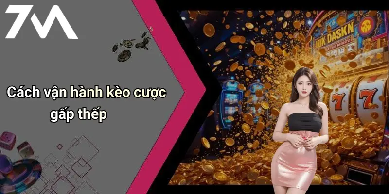 Cách vận hành kèo cược gấp thếp
