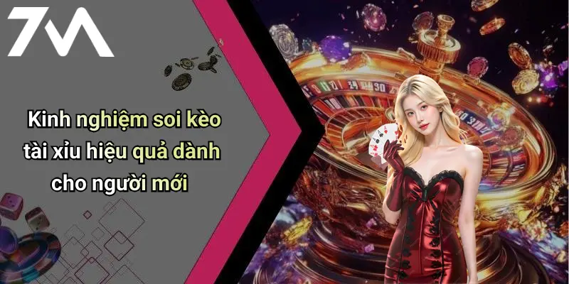 Kinh nghiệm soi kèo tài xỉu hiệu quả dành cho người mới